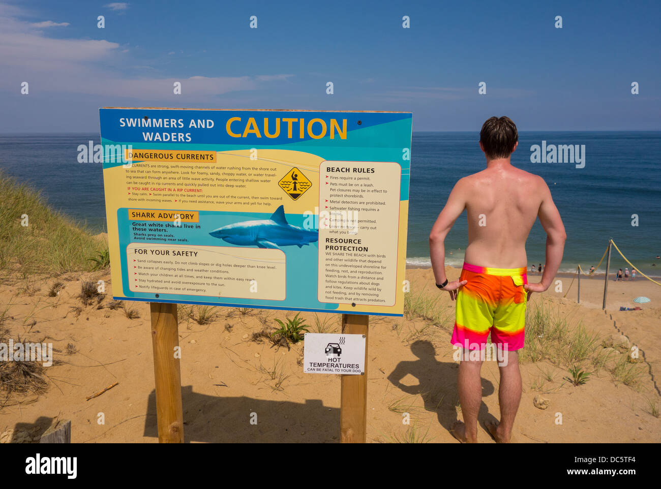 CAPE COD, MASSACHUSETTS, USA - Young man and shark warning sign at White Crest beach near town of Wellfleet. (MR) Stock Photo