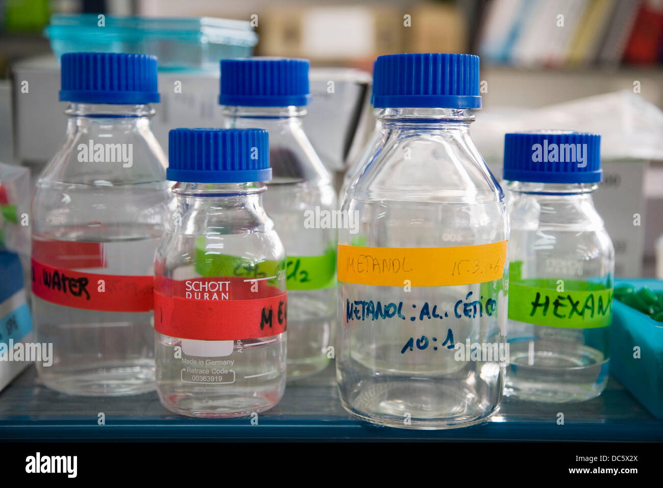 Research and Development laboratory. Functional biomolecules in food extraction. AZTITecnalia