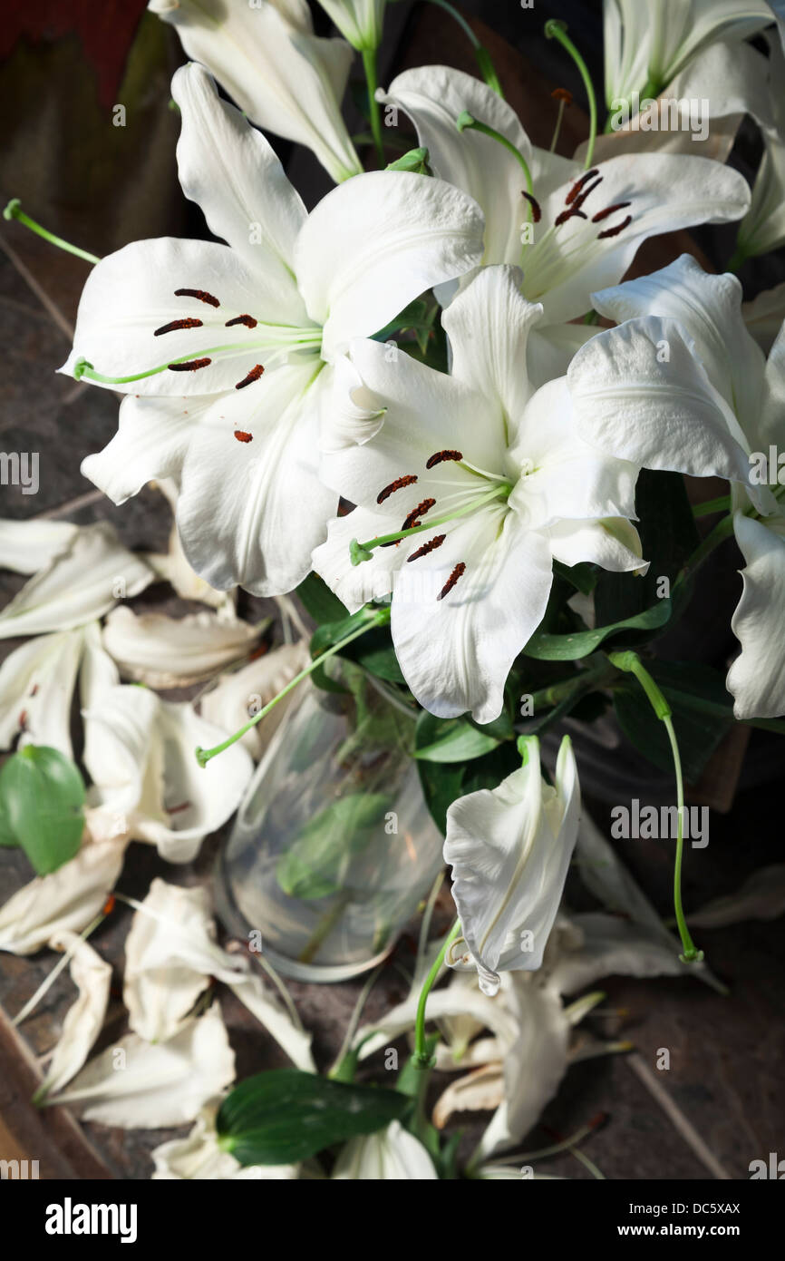 Petal falling hires stock photography and images Alamy