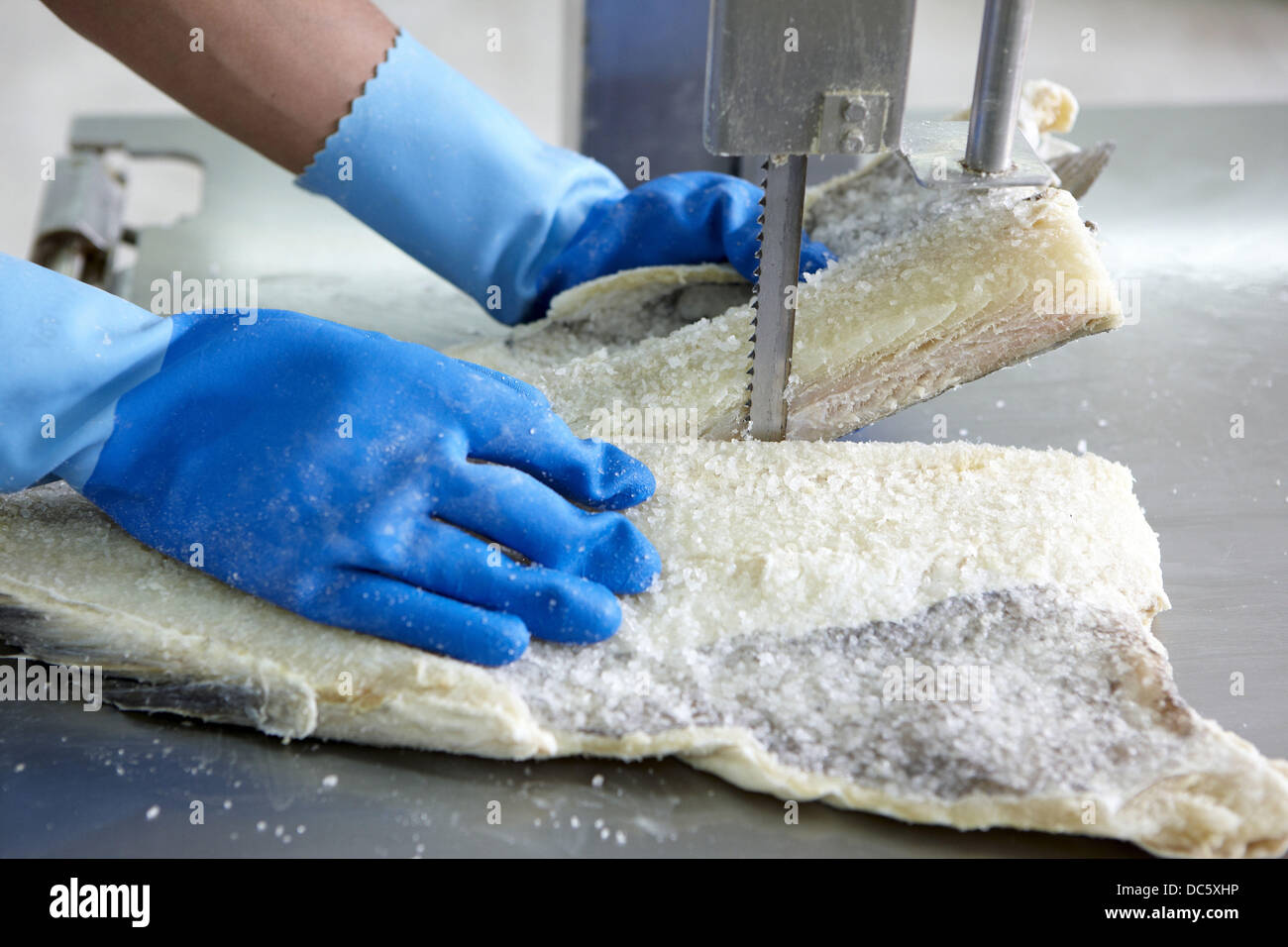 Cutting salt cod loins, refrigerated and frozen salt cod distribution