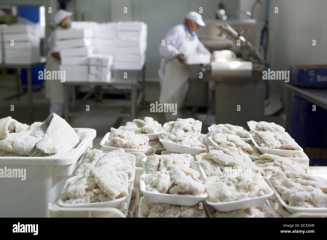 Manipulation of salt cod, refrigerated and frozen salt cod distribution