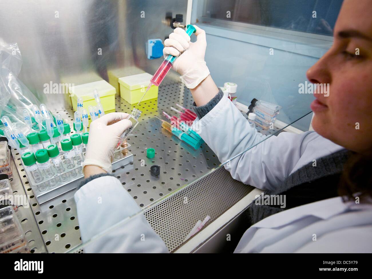 Cell culture, Laboratory of Hospital