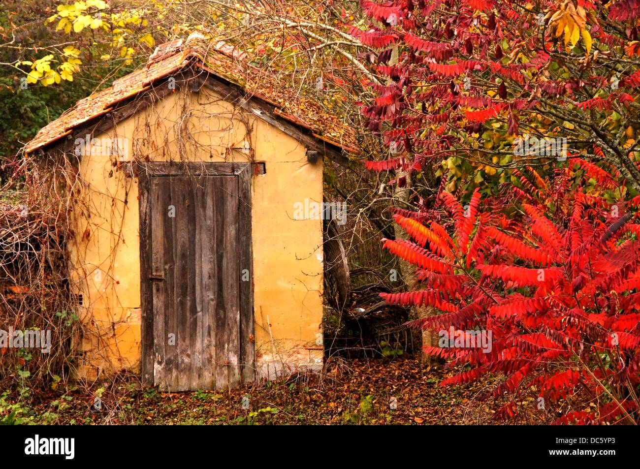 Old cabin in a garden, Lannepax, Gers, Midi-Pyrenees, France Stock Photo
