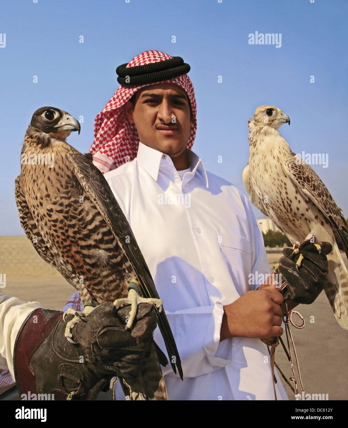 Hamed Hussein with his falcons at Al Ruwaiss. Qatar Stock Photo