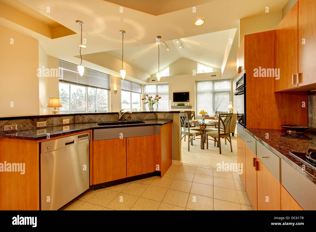 Large Modern Wood Kitchen With Living Room And High Ceiling