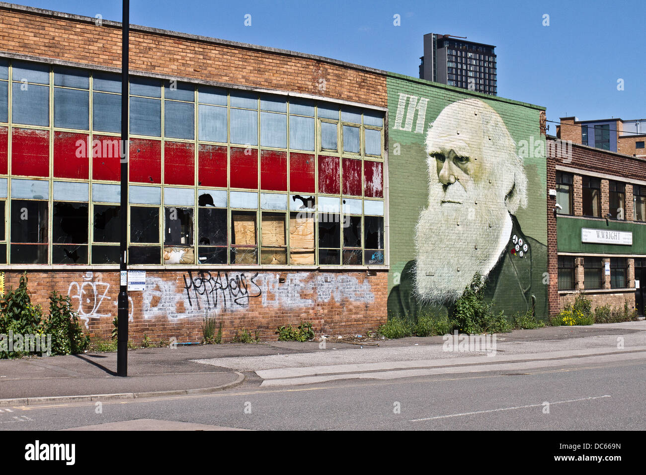 Mural of Charles Darwin on abandoned building in Sheffield South Yorkshire UK United Kingdom Stock Photo