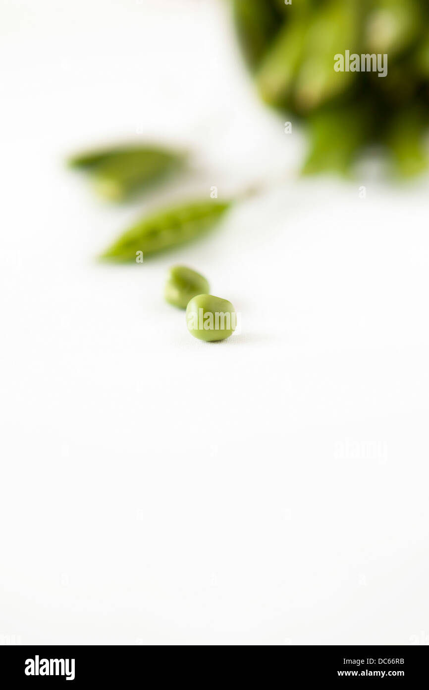 A pea on a white surface. Peas in a pod in the background Stock Photo