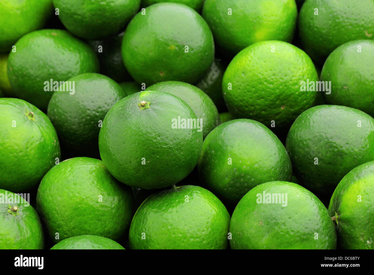 lime citrus fruit Stock Photo