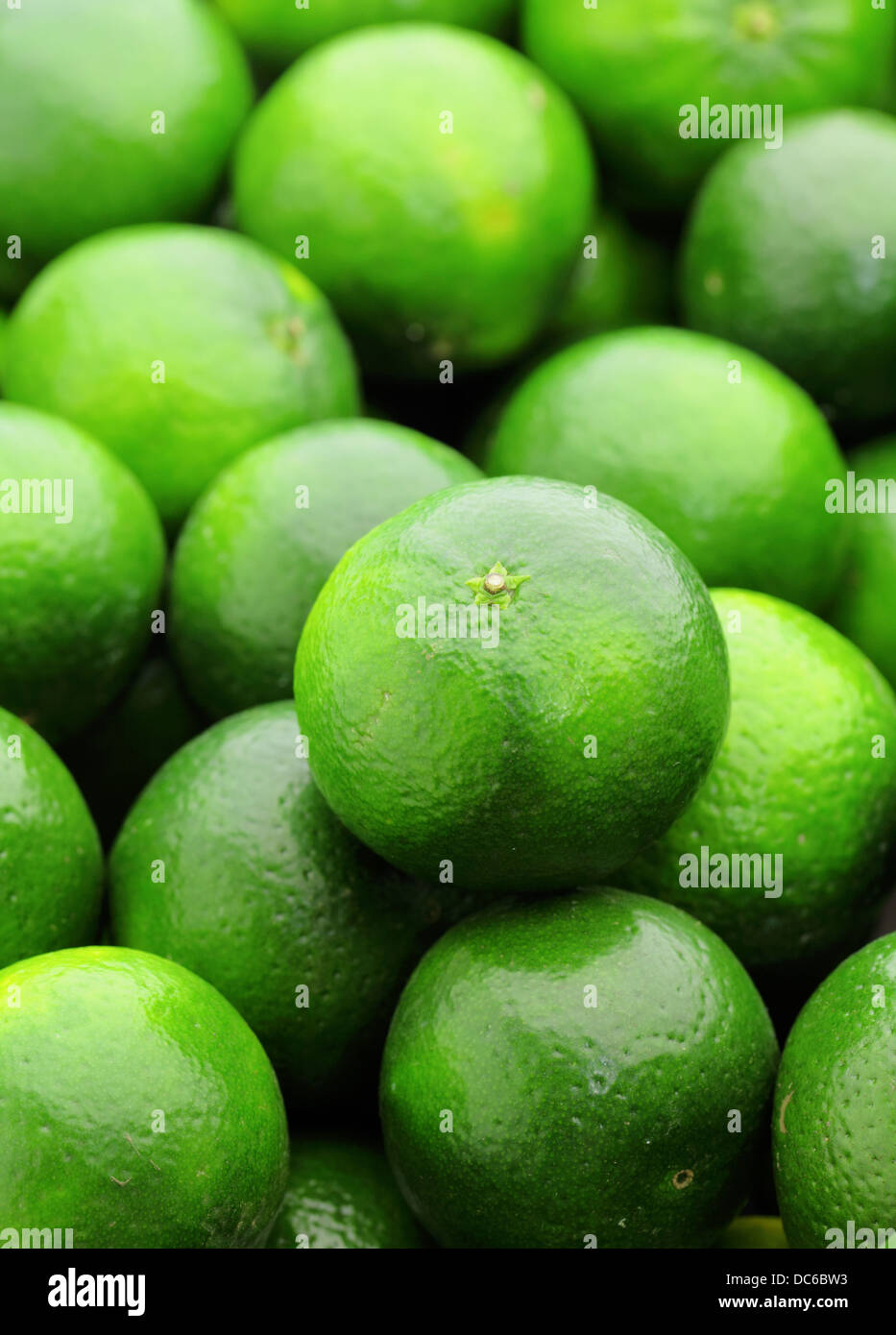 lime citrus fruit Stock Photo