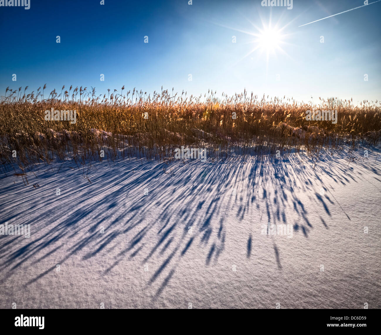 Shadows on the snow Stock Photo - Alamy
