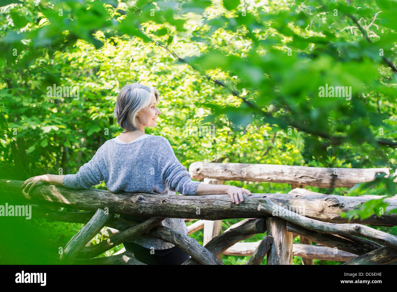USA, New York, New York City, Central Park, Senior woman relaxing in park Stock Photo