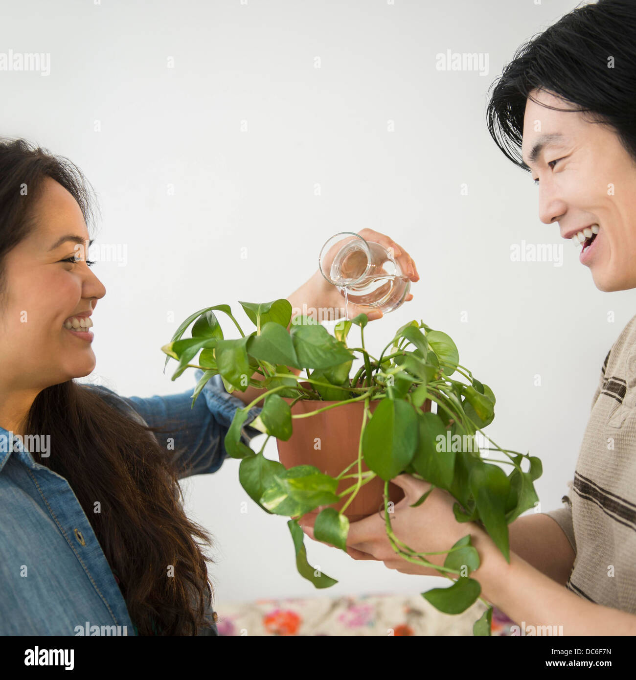 Woman watering potted plant hi-res stock photography and images - Alamy