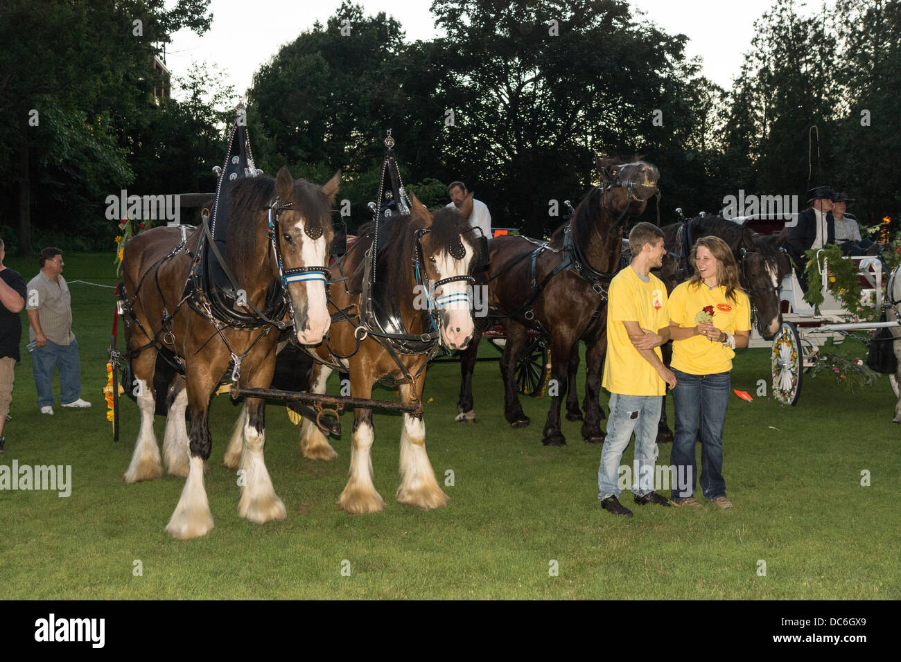 August 2, 2013, Saratoga Springs, NY. Horse drawn wagons in the "Floral