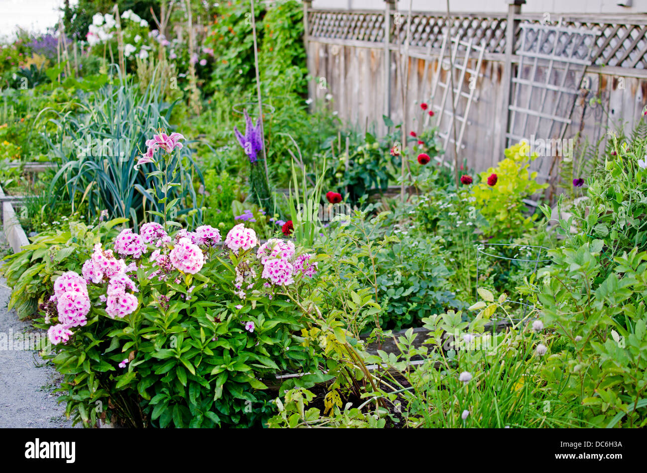 Community garden urban gardens vancouver hires stock photography and