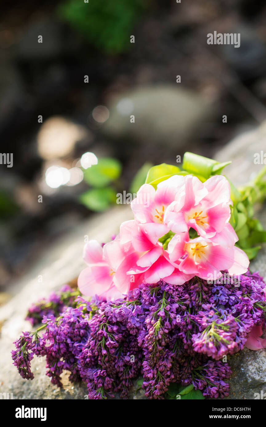 New york park beauty hi-res stock photography and images - Alamy