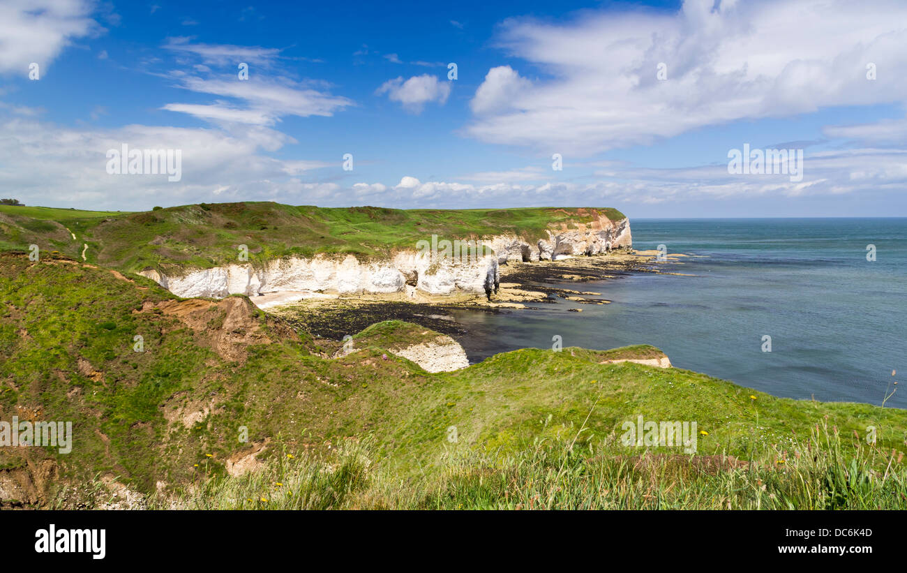 Chalk Cliffs at Flamborough Head, Yorkshire England UK Stock Photo Alamy