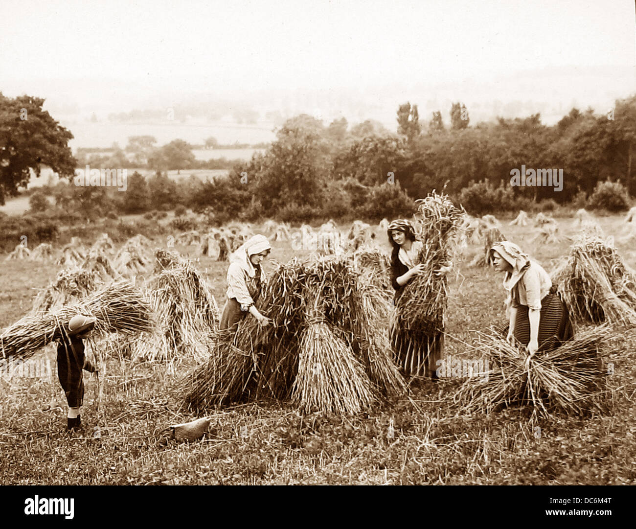 What Was Farming Like In The 1800s What Was Farming Like In The 1800s