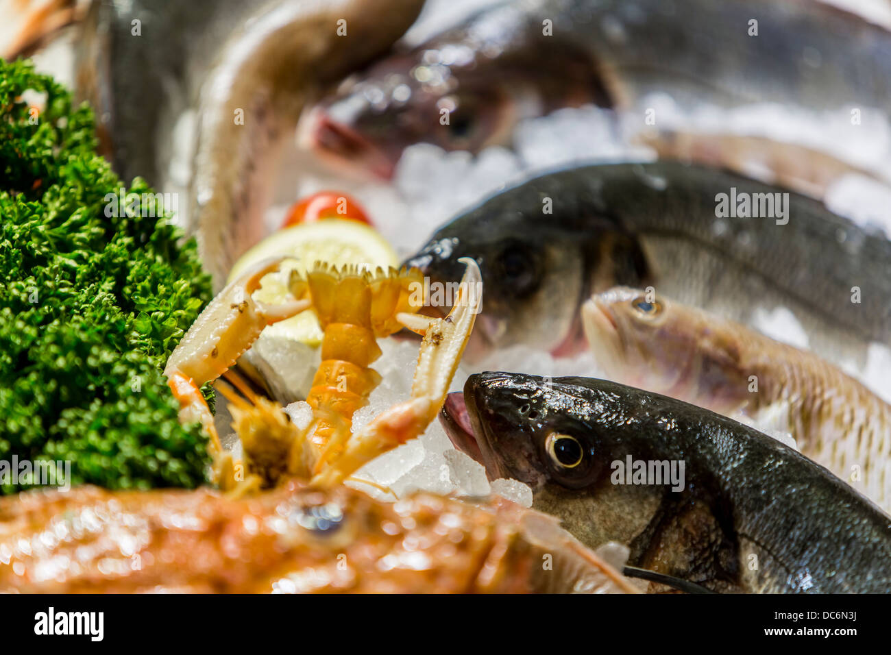 Close up raw seafood restaurant hi-res stock photography and images - Alamy