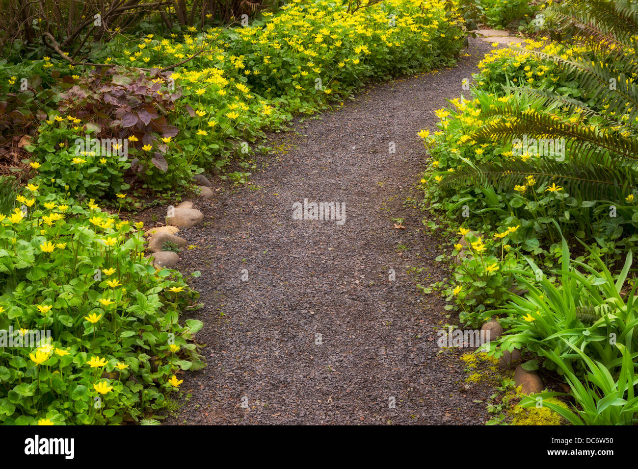 USA, Oregon, Marion county, Garden path Stock Photo