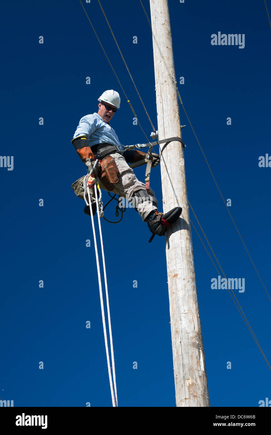 Electric utility linemen climb poles to make repairs during the annual