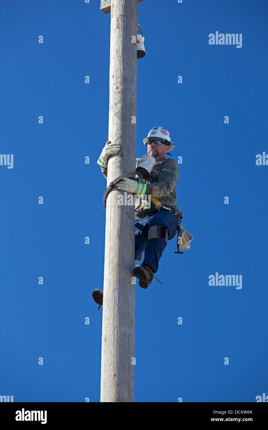 Electric utility linemen climb poles to make repairs during the annual  Michigan Lineman's Rodeo Stock Photo - Alamy