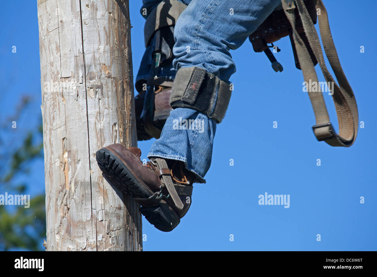 Telephone pole climbing hi-res stock photography and images - Alamy