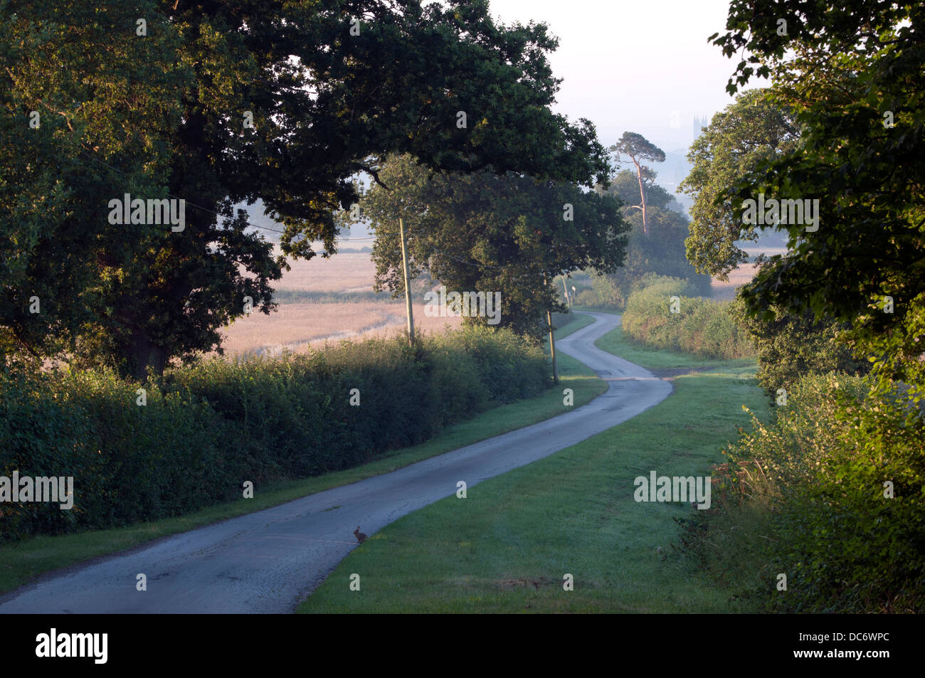 Winding country road, Warwickshire, UK Stock Photo