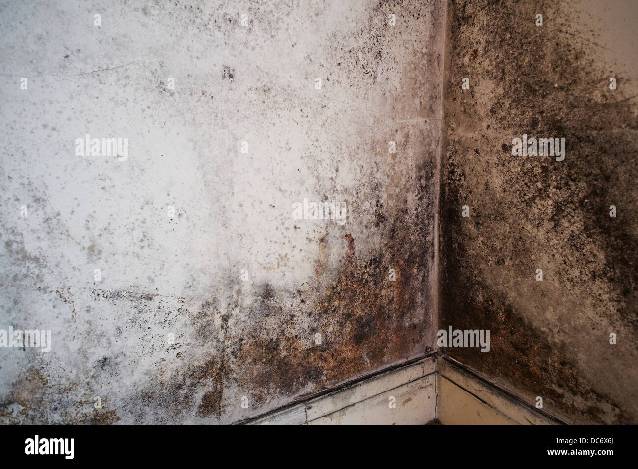 Mould on an interior room wall in a house England UK Stock Photo