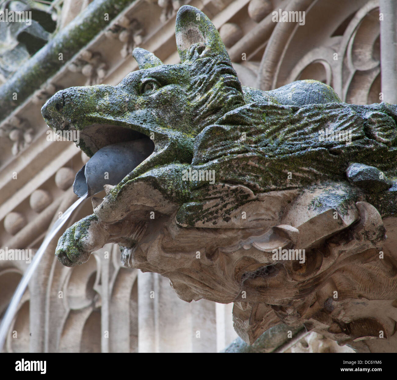 TOLEDO - MARCH 8: Detail of animal as gothic spoutler in rain from atrium of Monasterio de San Juan de los Reyes Stock Photo