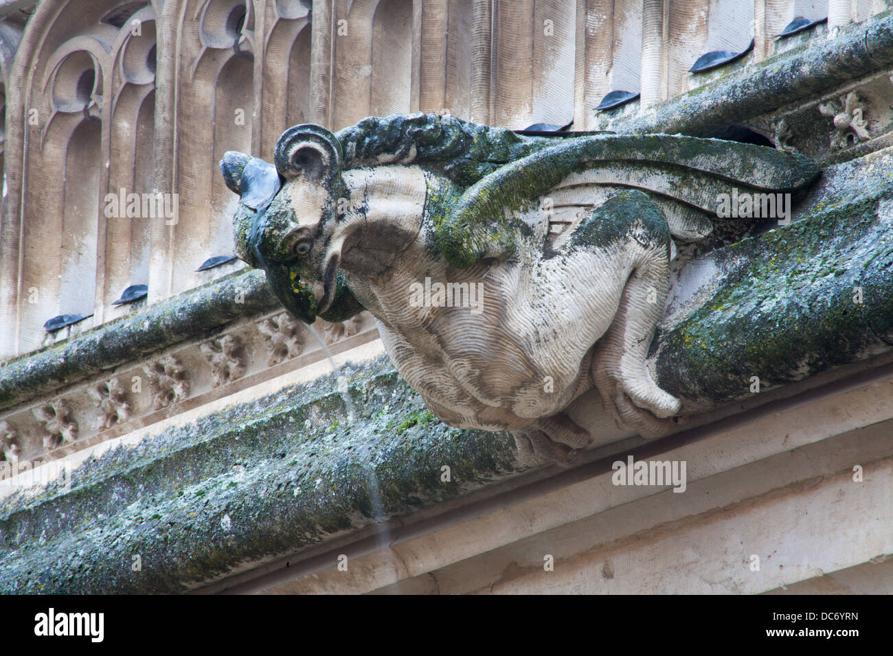 TOLEDO - MARCH 8: Detail of animal as gothic spoutler in rain from atrium of Monasterio de San Juan de los Reyes Stock Photo