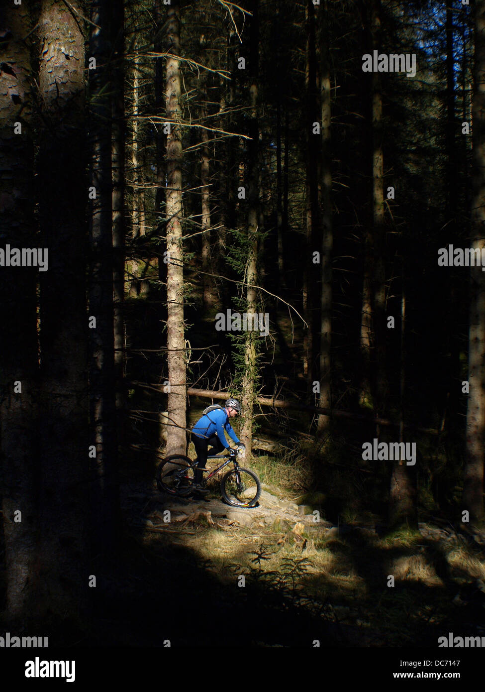 Mountain biker in dark forest Stock Photo