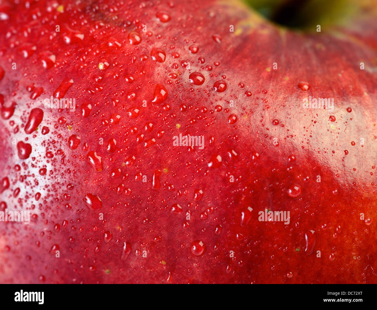 red apple macro with