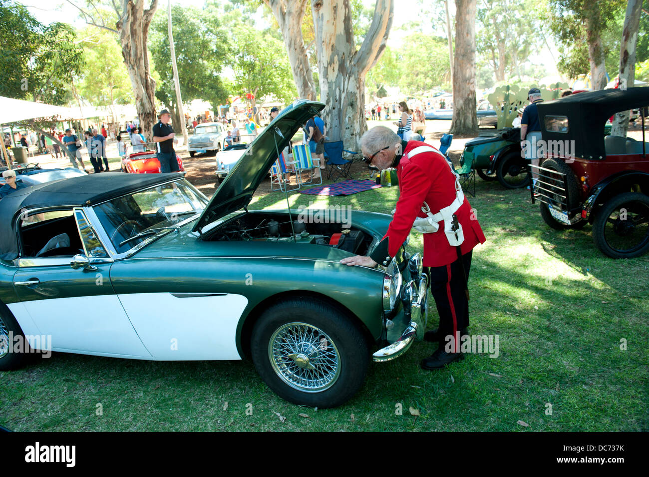 Man in period military costume inspecting motor of classic Austin-Healey 3000 sportscar. Stock Photo