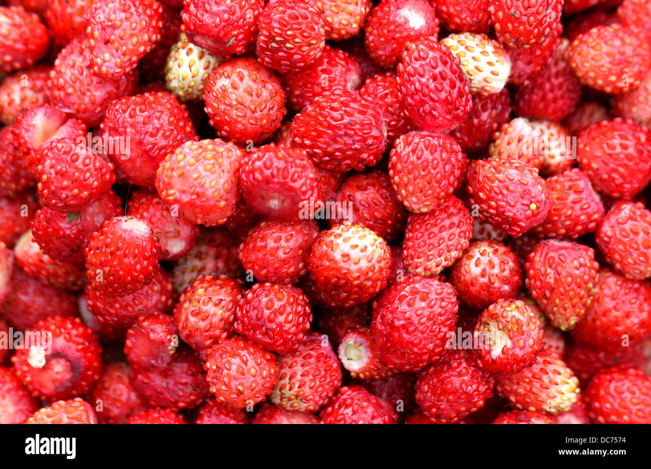 Fresh ripe perfect strawberry - Food Frame Background Stock Photo - Alamy