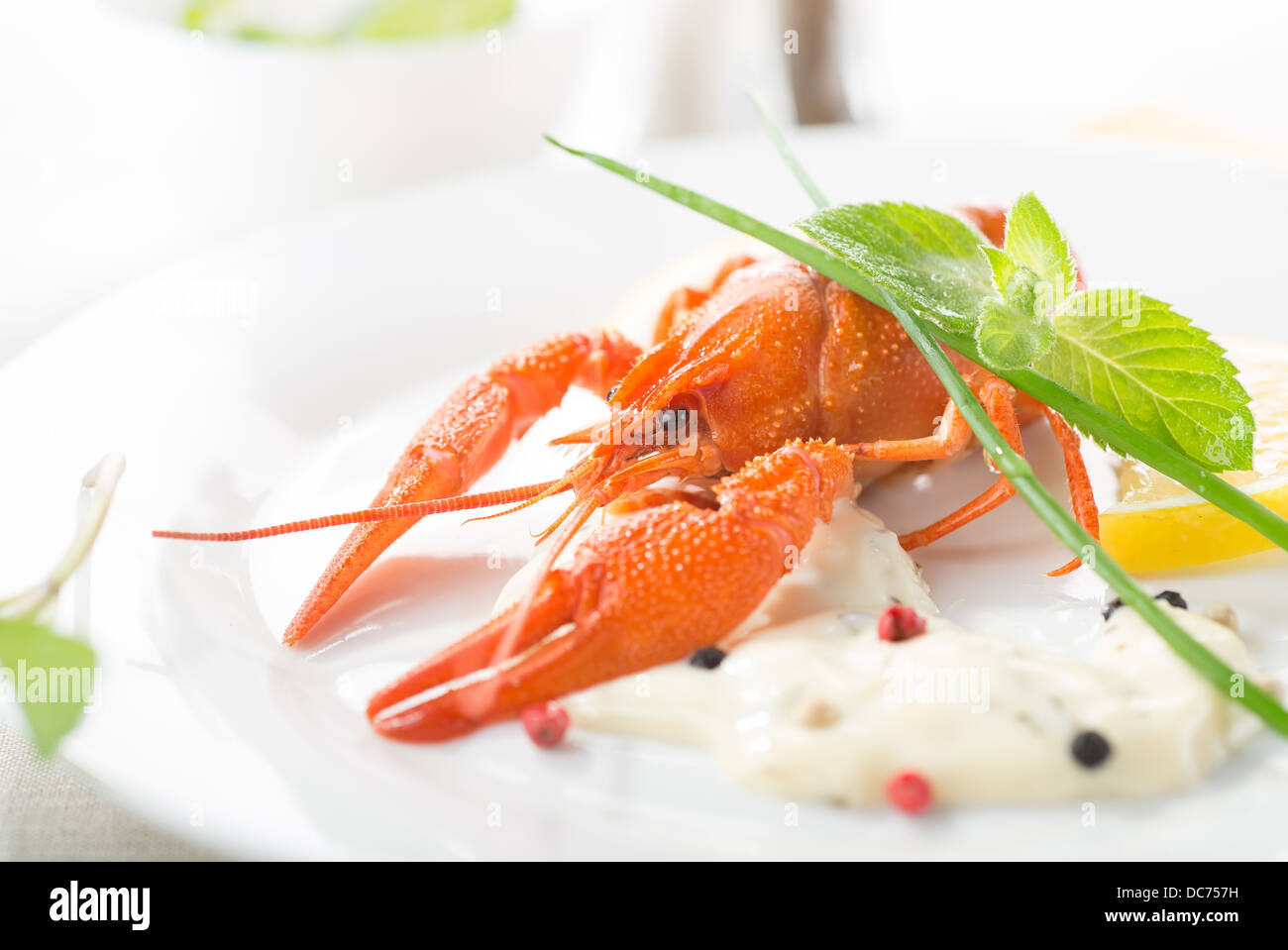 Red lobster with lemon and greens on a white plate Stock Photo