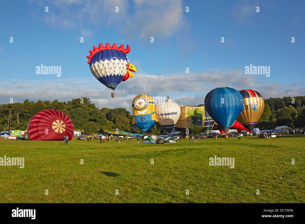 Bristol, UK. 9th Aug, 2013. Balloons at the 35th UK Bristol balloon fiesta at the Ashton court estate Morning launch launch on the 9th August 2013 including the BT FT Ricoh Palletways an Despicable Me Stuart minion balloons with the French Cockerel balloon taking off Credit:  David Lyon/Alamy Live News Stock Photo
