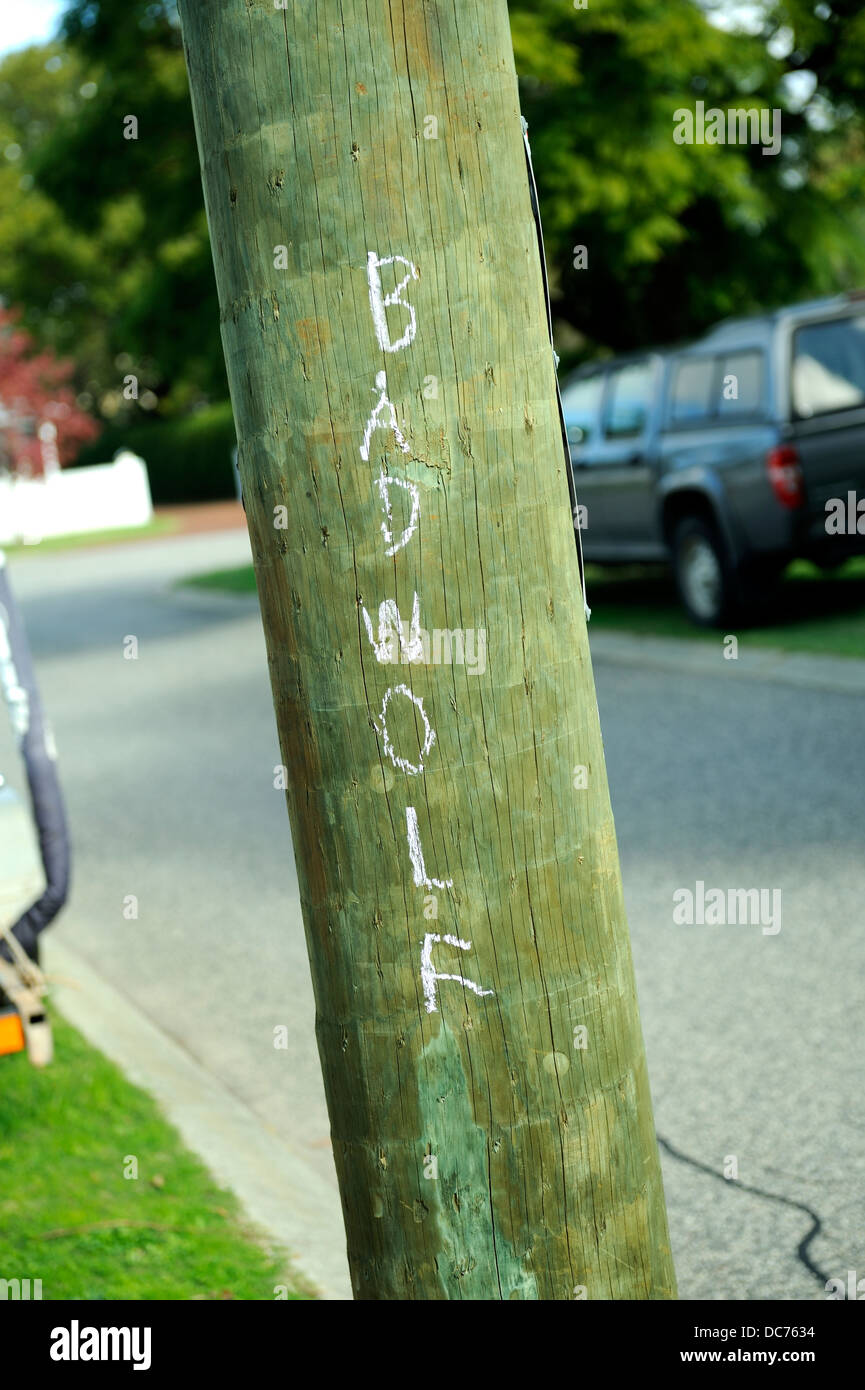 'Bad Wolf' graffiti on street pole, Perth, Western Australia, on 'Bad Wolf Day', June 3rd 2013. Stock Photo