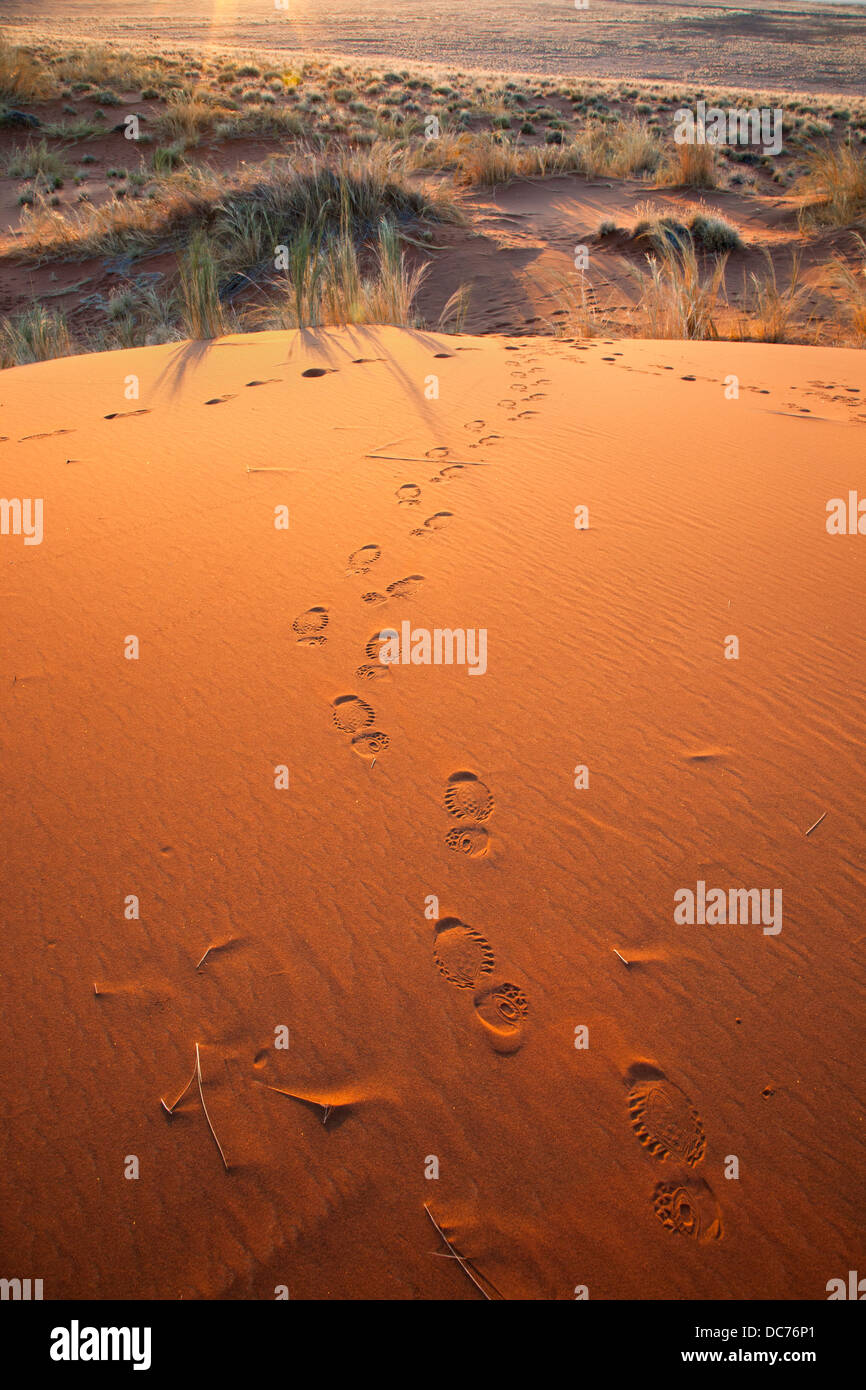 African print hi-res stock photography and images - Alamy
