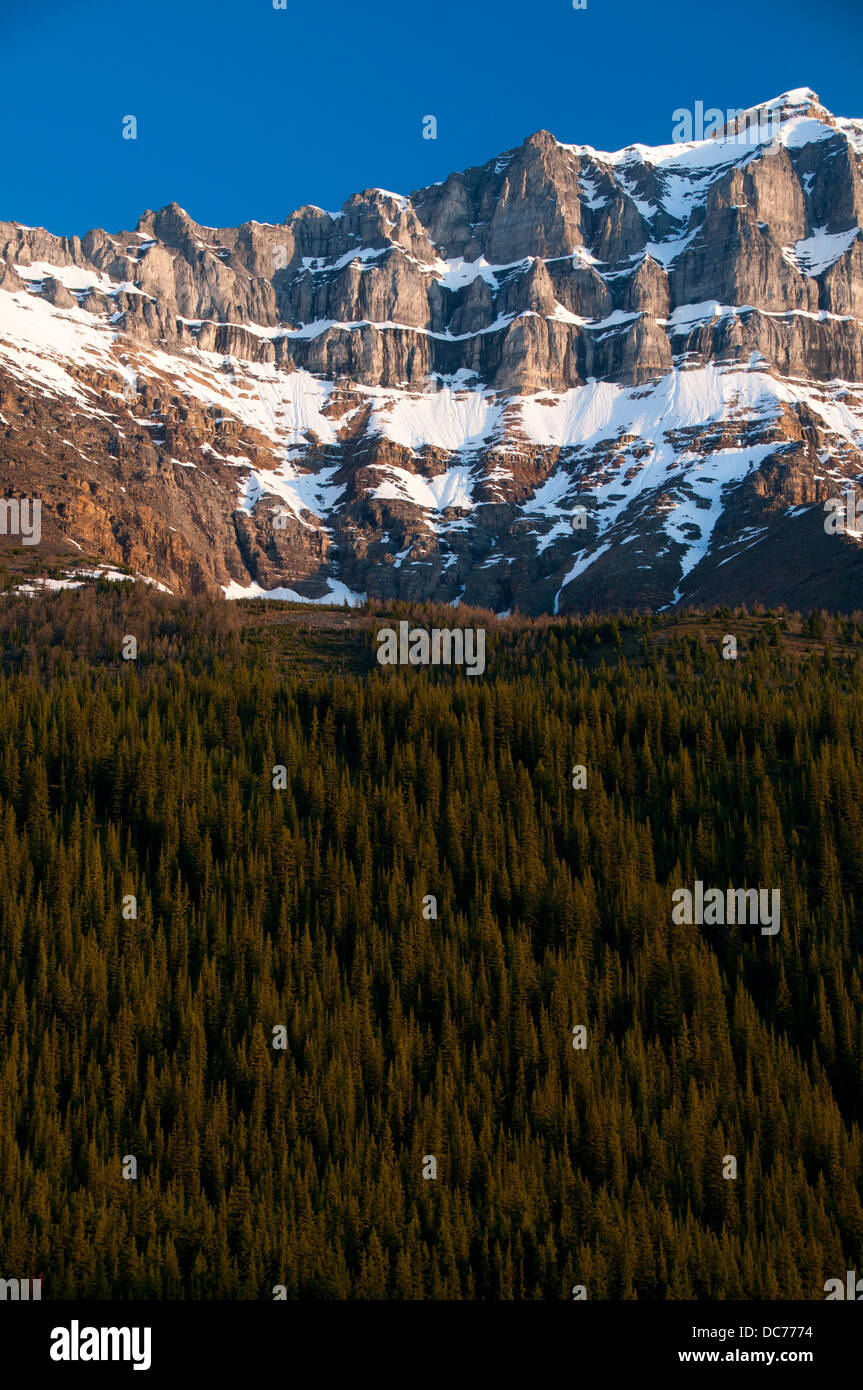 Mount Temple from Rockpile Trail, Banff National Park, Alberta, Canada Stock Photo