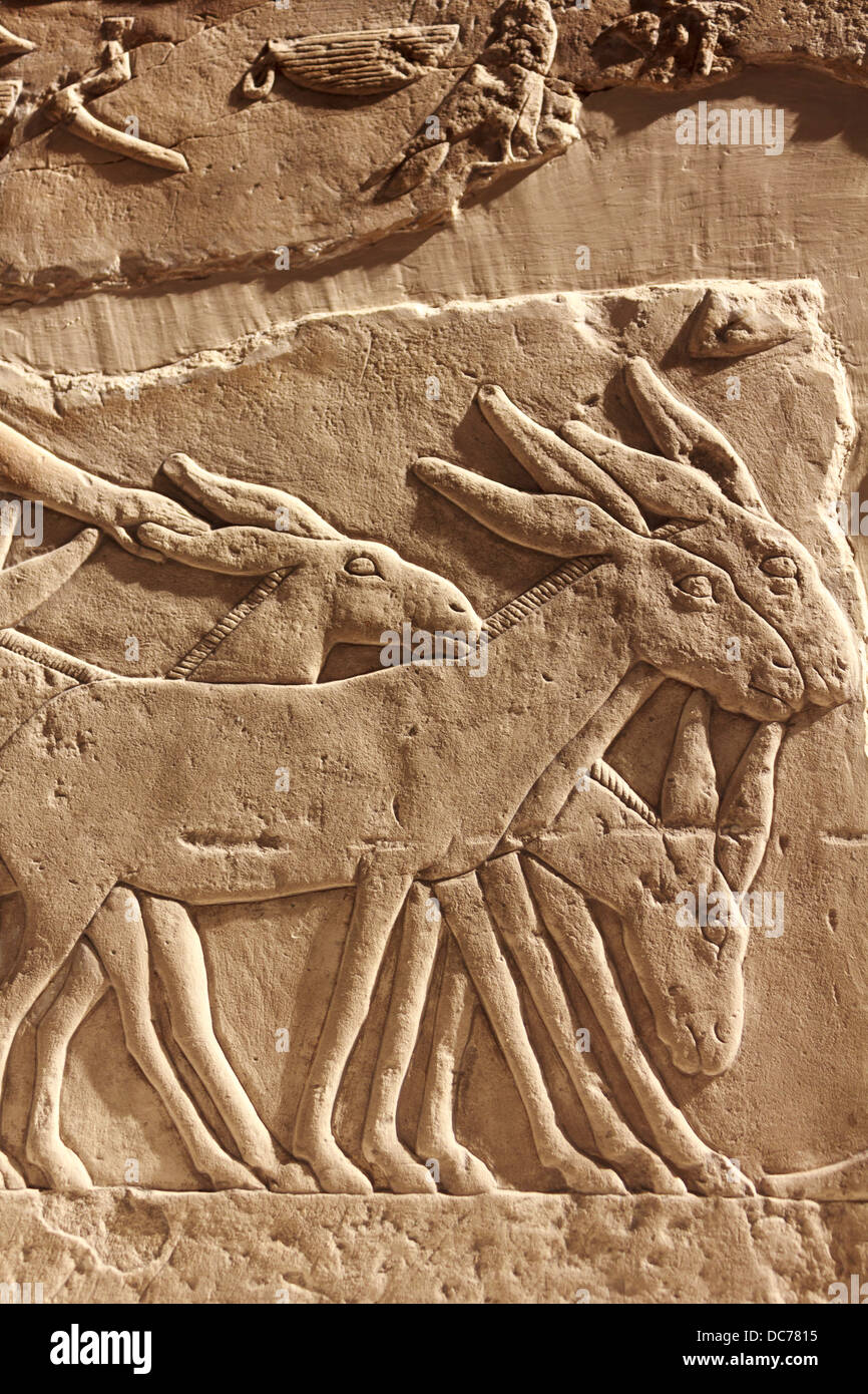 A closeup shot of Egyptian stone carvings from an ancient artifact preserved in Berlin Museum. Stock Photo