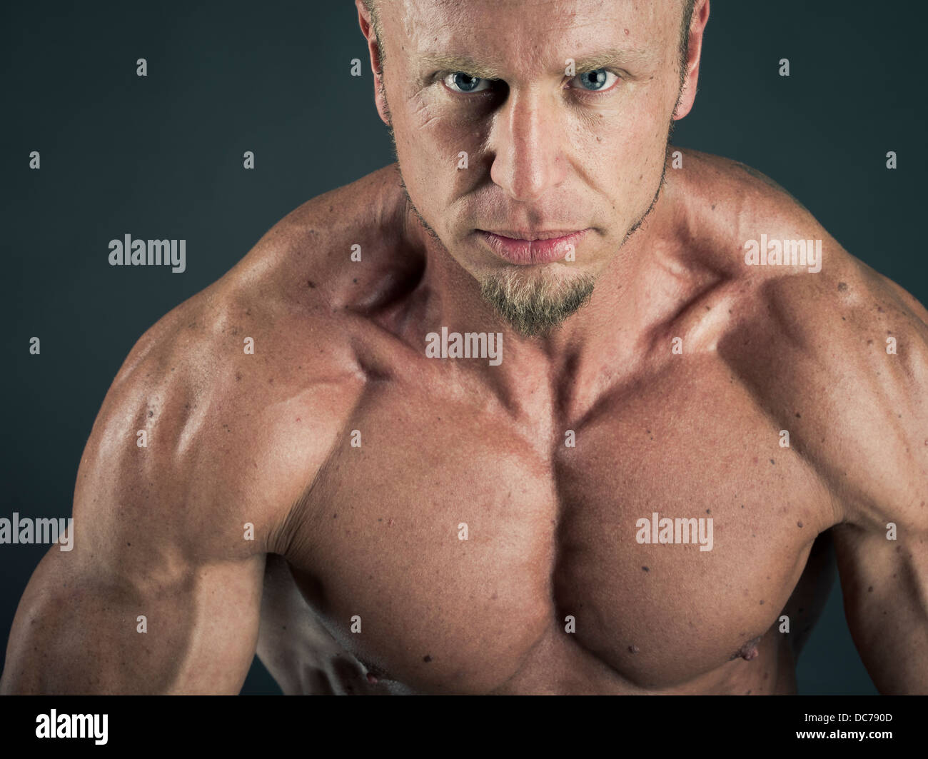 male bodybuilder Stock Photo