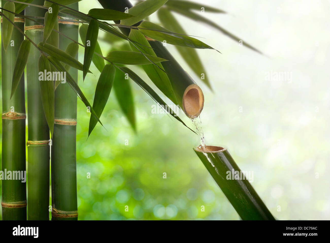 Bamboo Water Fountain High Resolution Stock Photography and Images Alamy