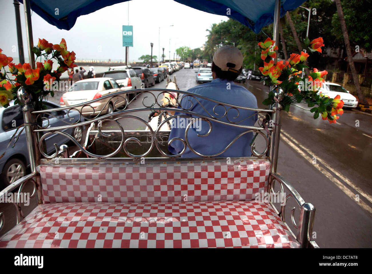 Tonga horse carriage hi-res stock photography and images - Alamy