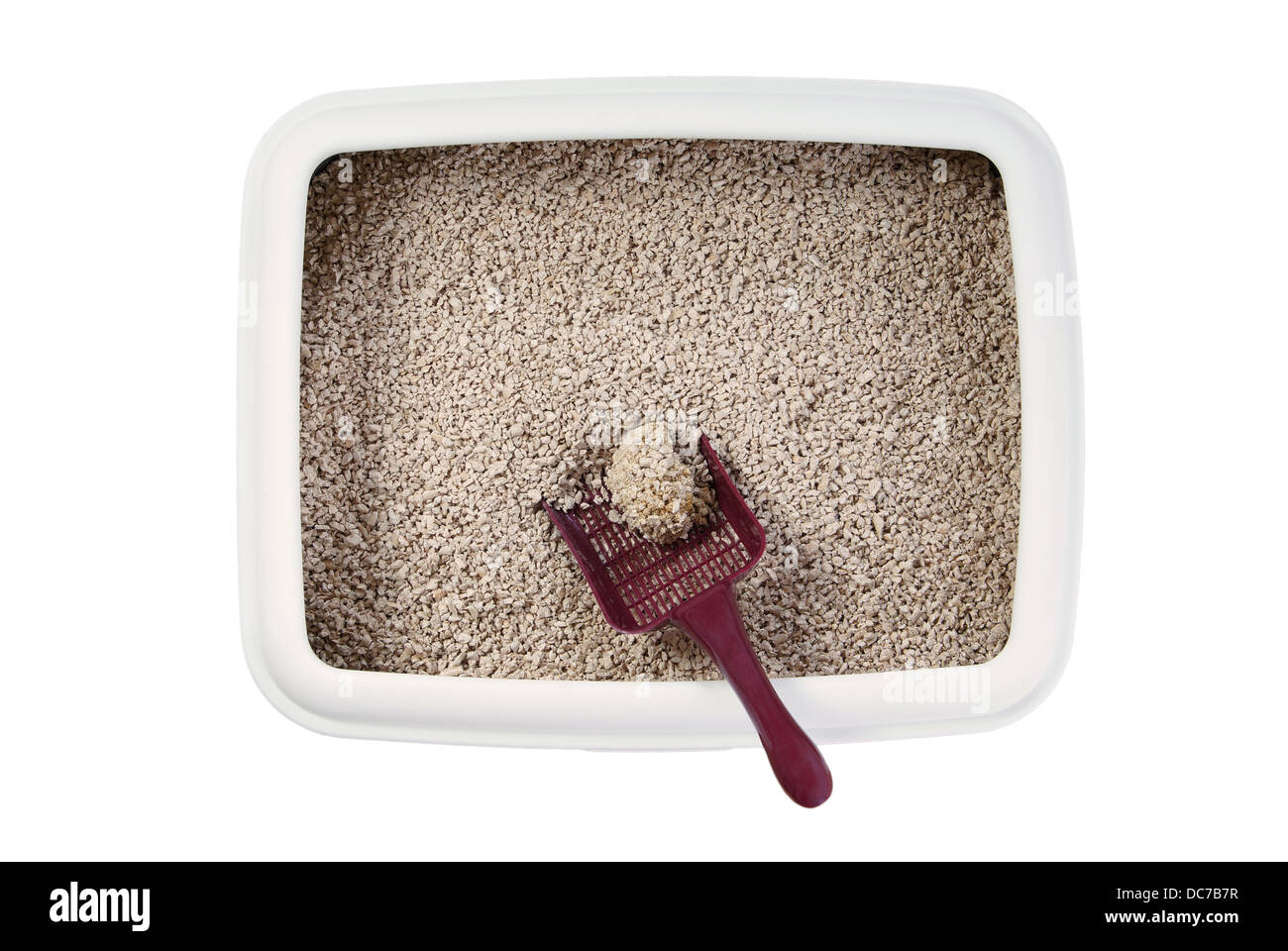 cat litter box with biodegradable pine wood chips Stock Photo Alamy