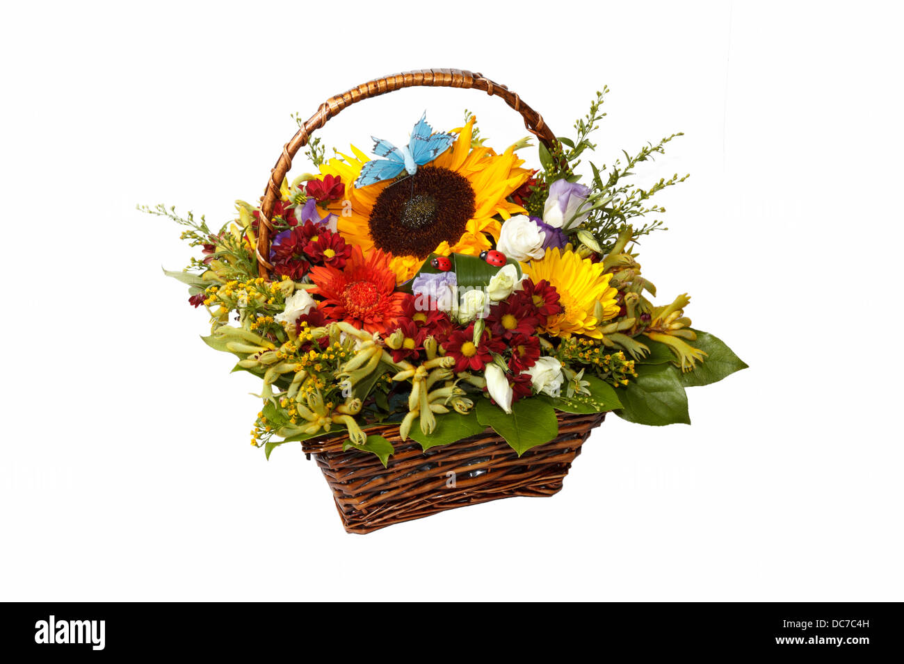 Bunch of flowers isolated on white Stock Photo Alamy