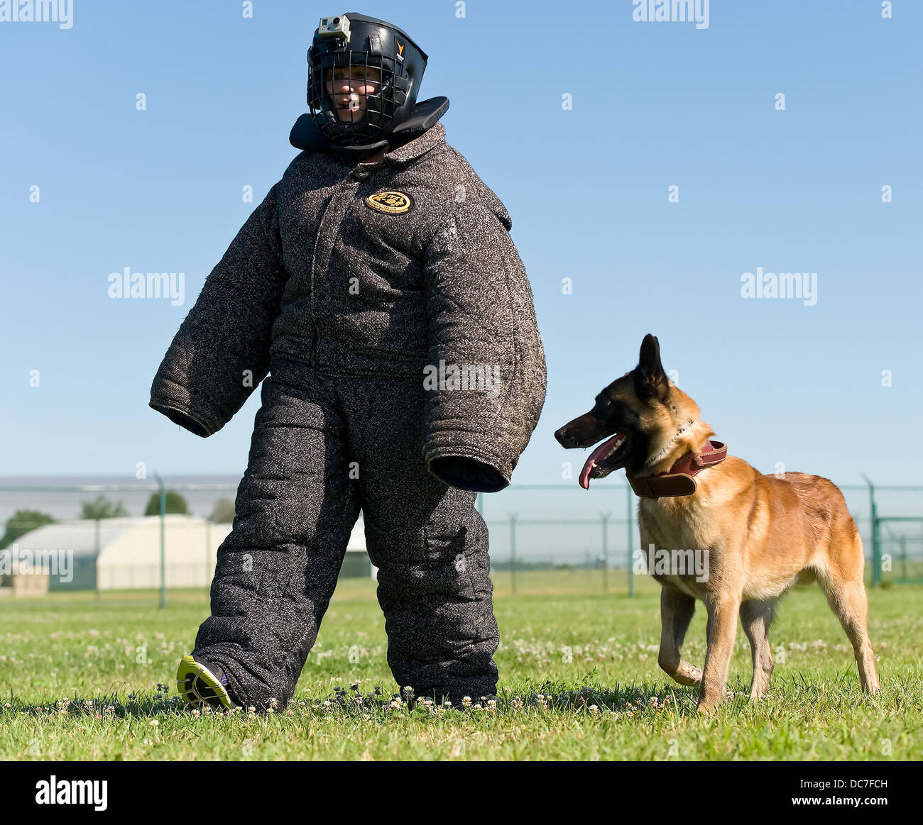 Ashley Barnas, a reporter with The Wilmington News Journal walks alongside Cuervo, a military working dog with the 436th Security Forces Squadron July 30, 2013 at Dover Air Force Base, DE. Cuervo is trained to attack if Barnas made any sudden or provoking movements. Stock Photo