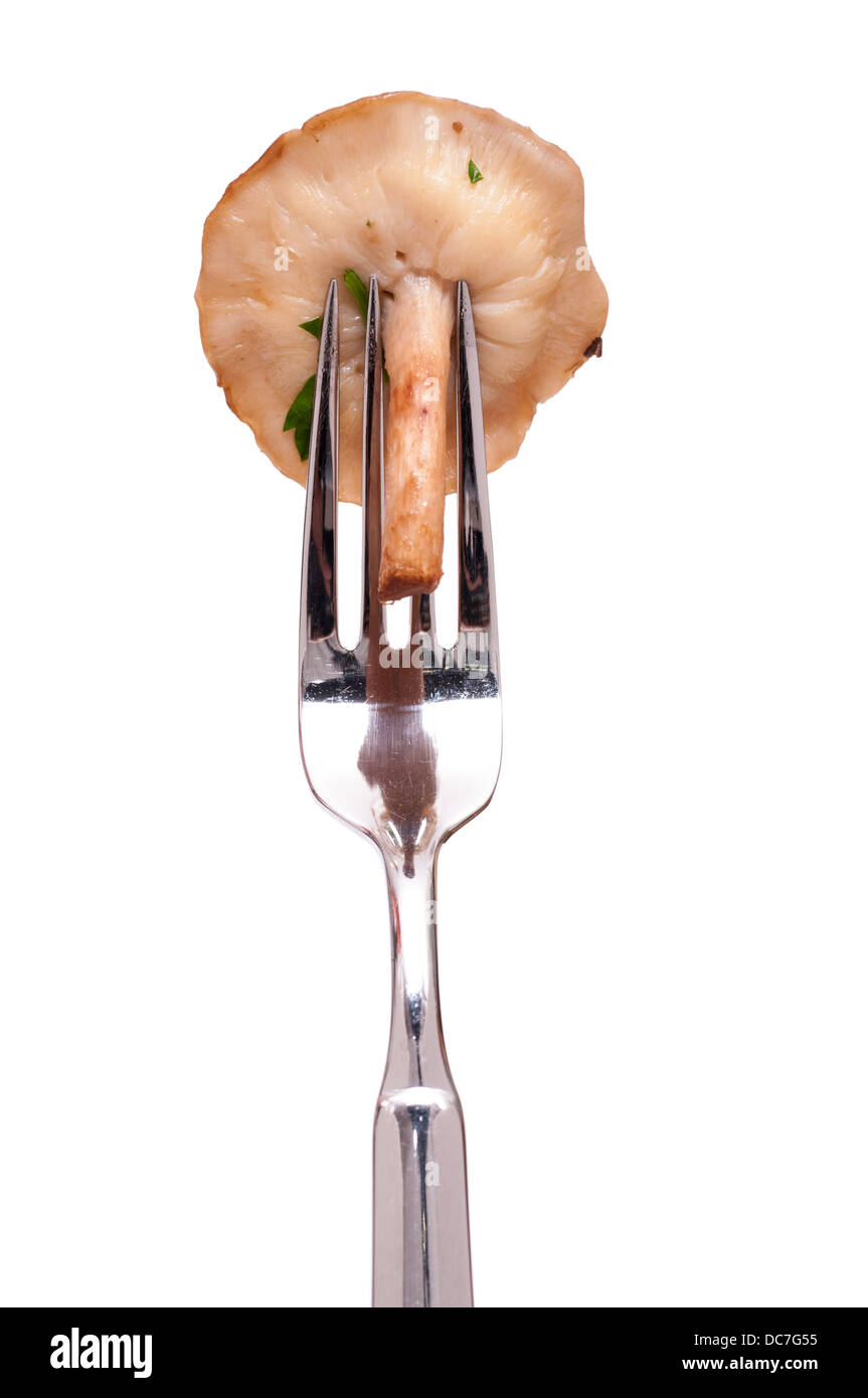 White isolated edible roasted shiitake mushroom on a fork Stock Photo