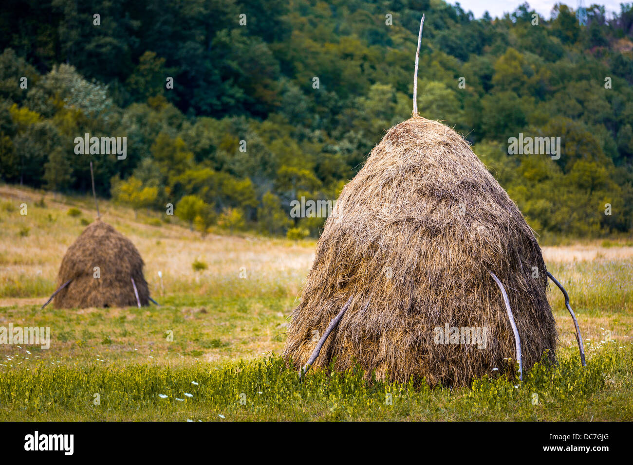 Typical Romanian haystacks Stock Photo