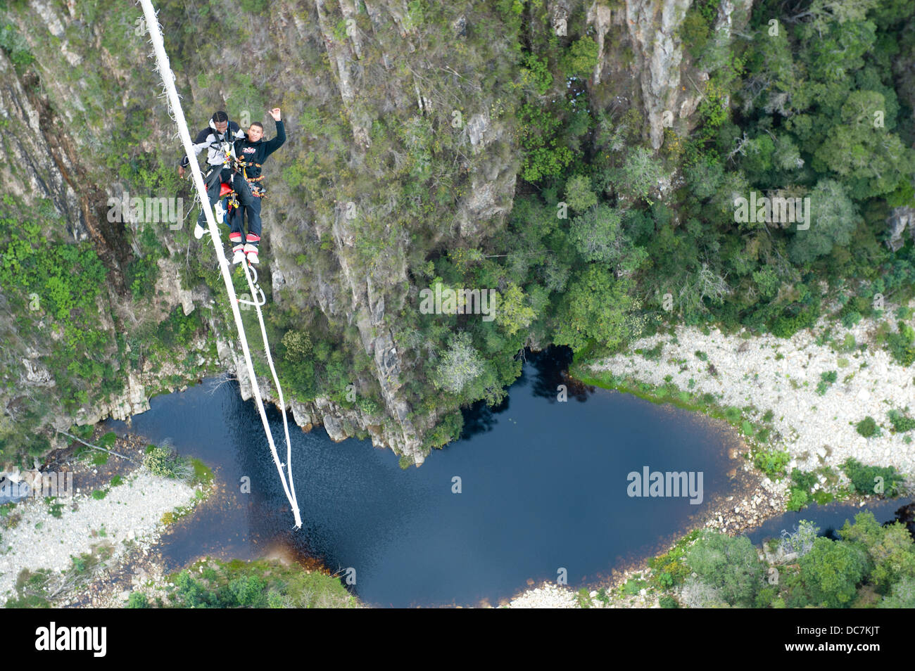 Bungy jumping from Bloukrans Bridge, Garden Route, South Africa Stock