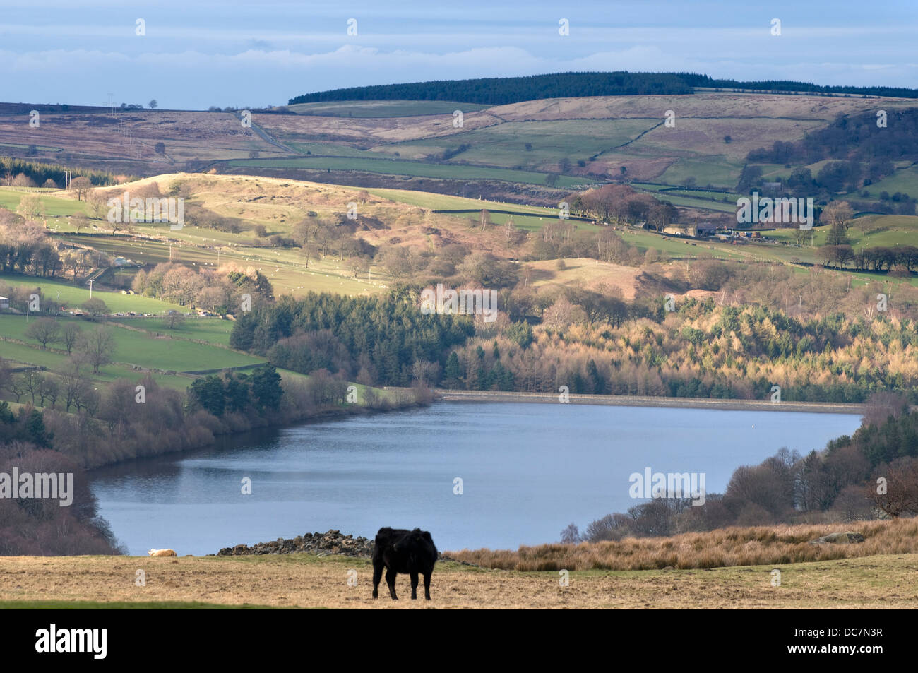 Dale Dyke Reservoir causing the great Sheffield flood in 1864 Stock Photo